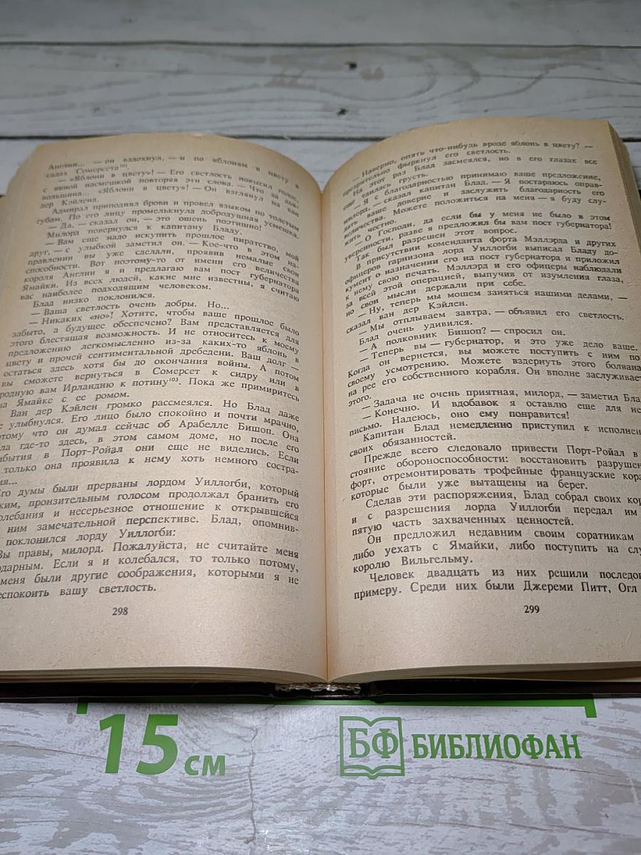Одиссея Капитана Блада. Хроника Капитана Блада