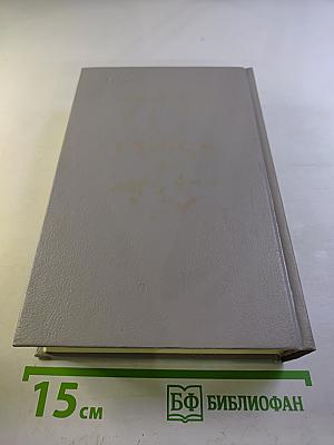 Собрание сочинений. Том 4. История моего современника