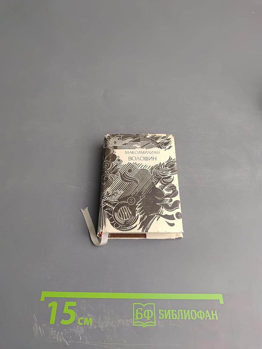 Максимилиан Волошин