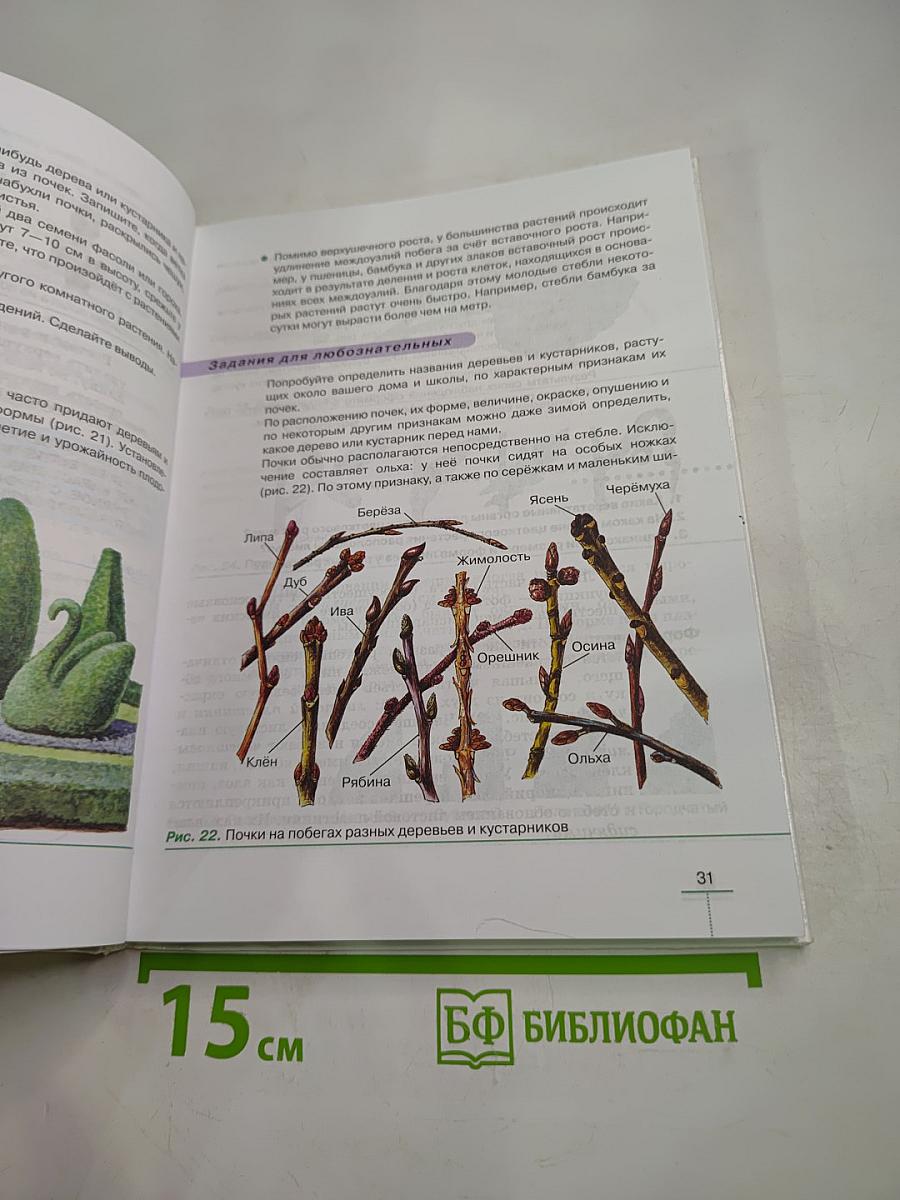 Биология. Многообразие покрытосеменных растений. 6 класс