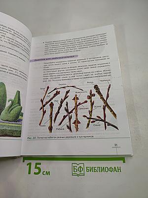 Биология. Многообразие покрытосеменных растений. 6 класс