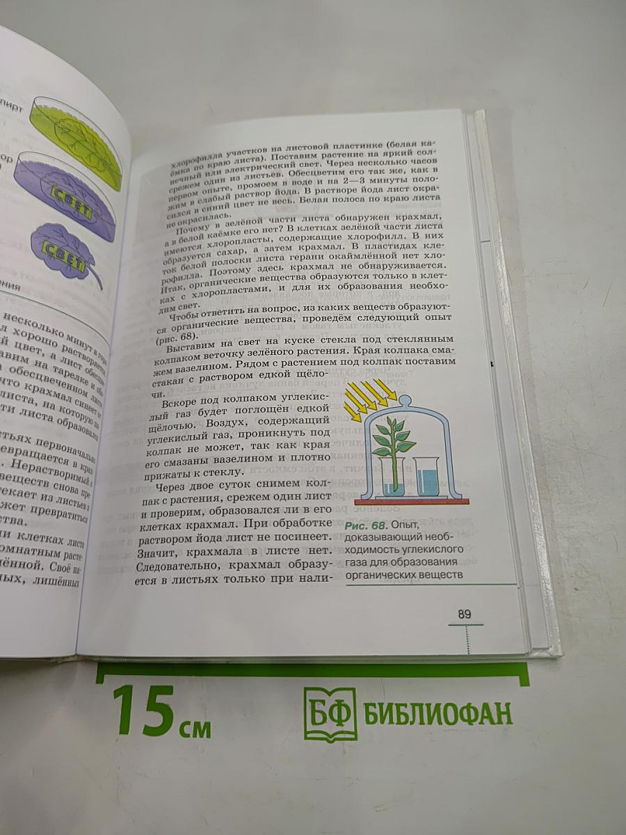 Биология. Многообразие покрытосеменных растений. 6 класс