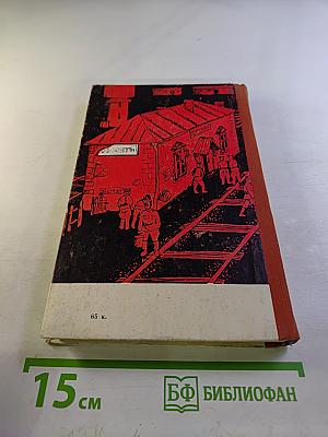 Мы из Семиречья. Книга вторая. В городе Верном