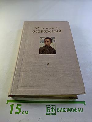 Как закалялась сталь