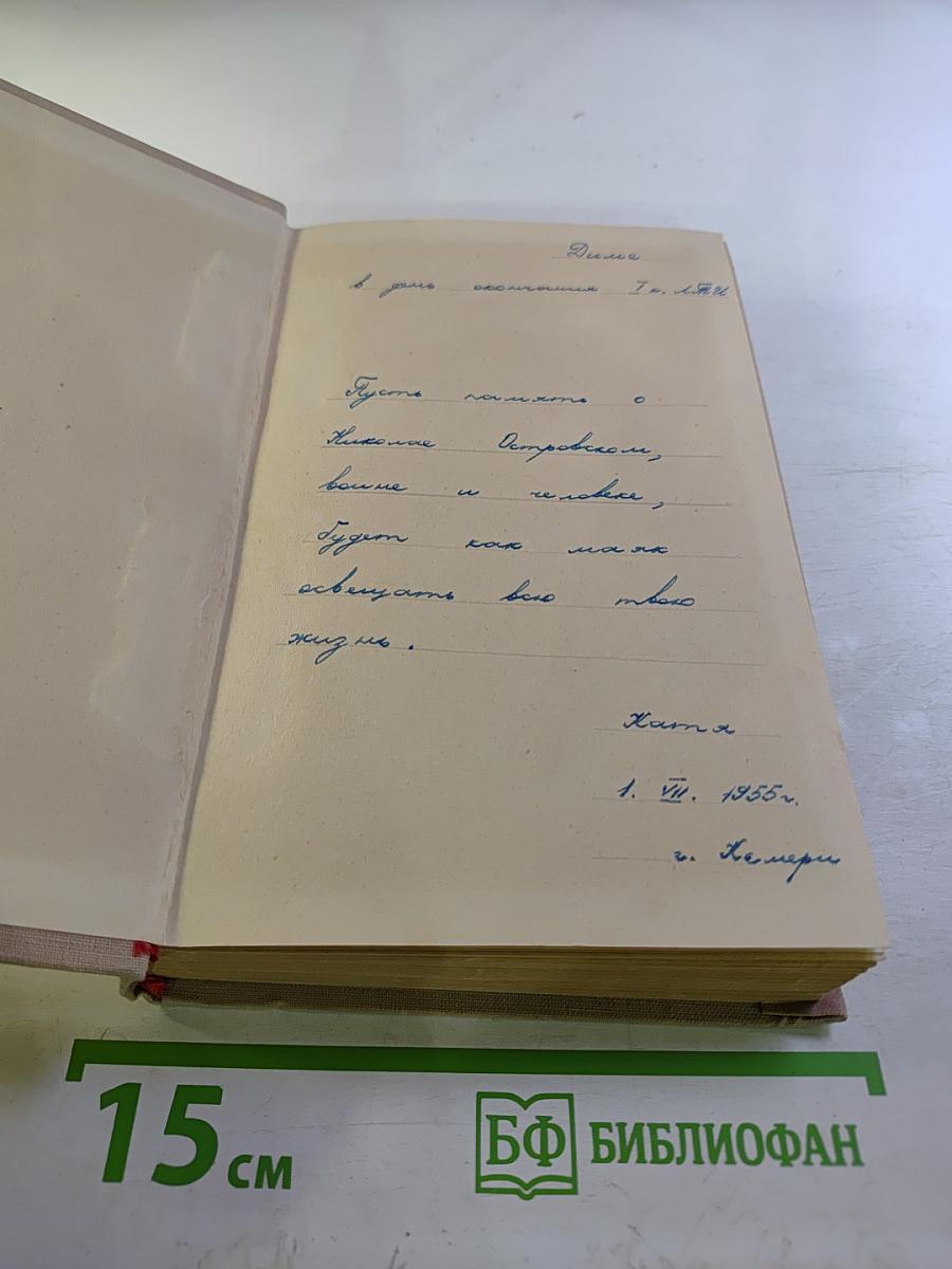 Как закалялась сталь