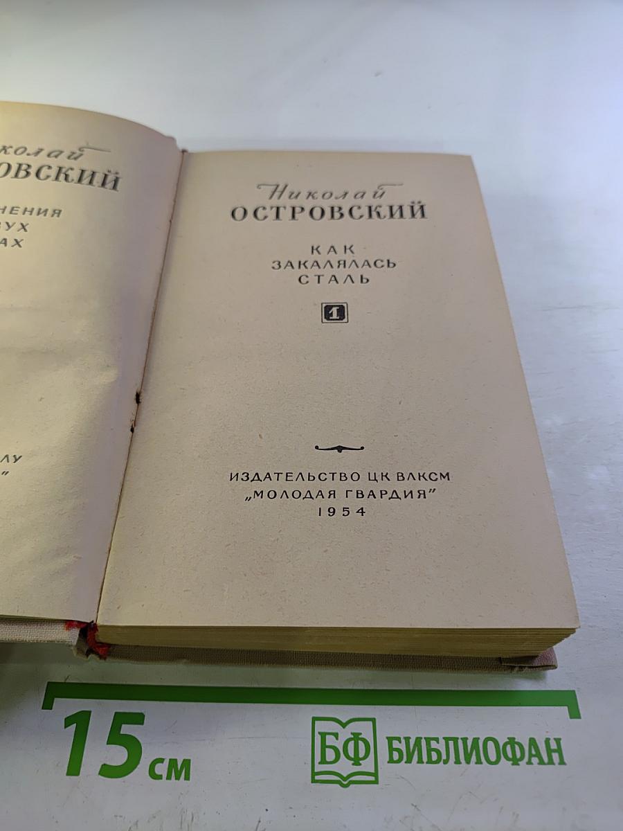 Как закалялась сталь