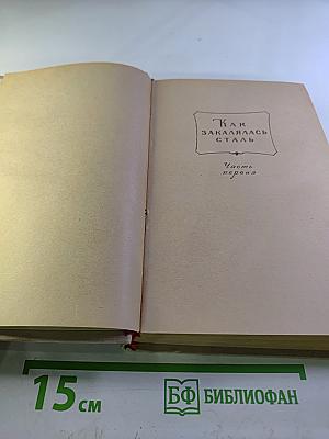 Как закалялась сталь