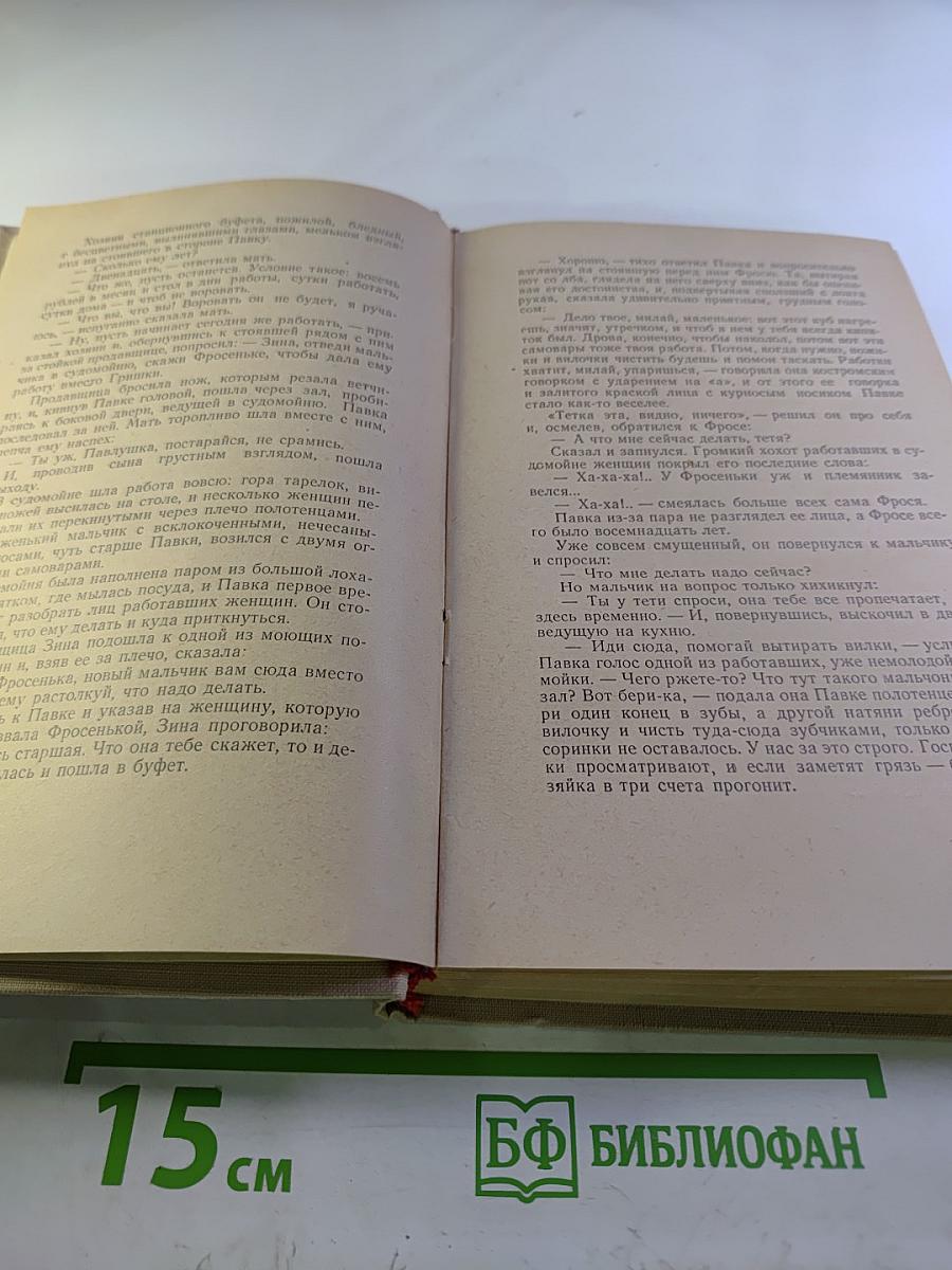 Как закалялась сталь