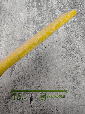 Мария Склодовская-Кюри