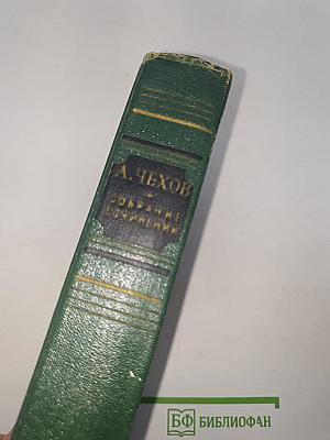 Собрание сочинений. Том девятый. Пьесы 1886-1904