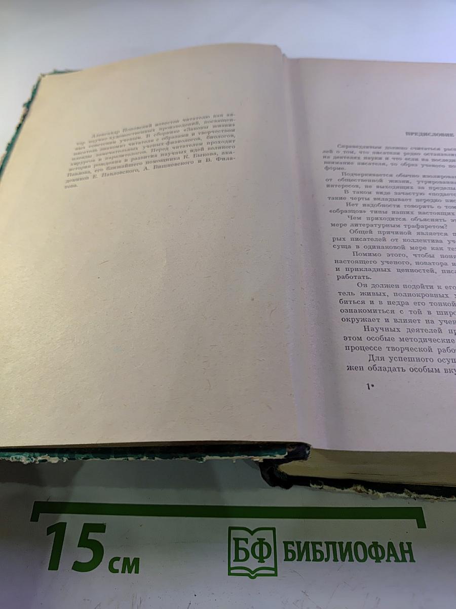 Законы Жизни