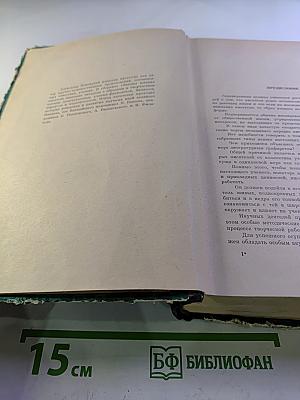 Законы Жизни