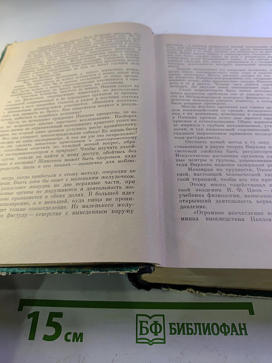 Законы Жизни