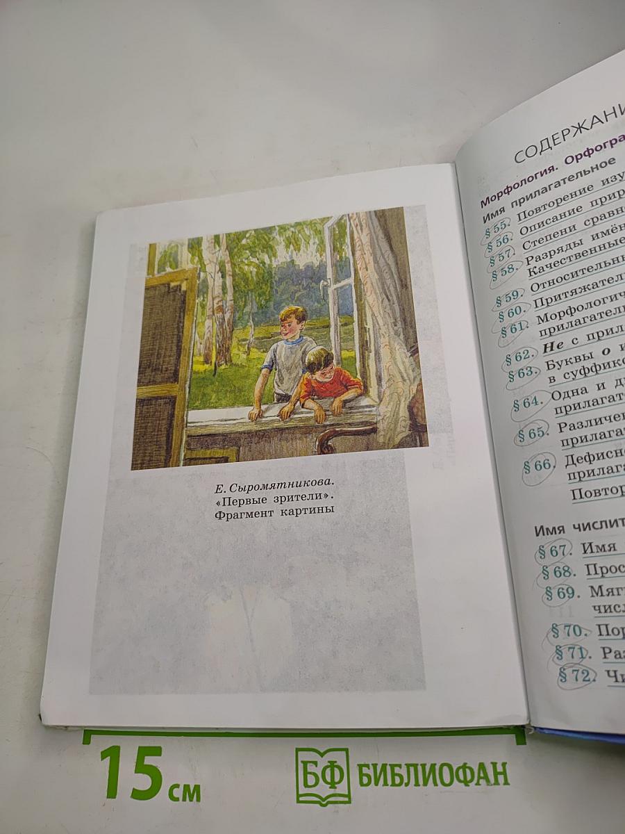 Русский язык 6 класс. Часть 2