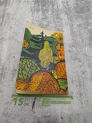 Кузнецовская хроника