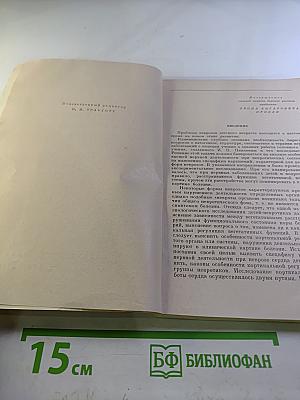 Физиологические механизмы неврозов сердца у детей