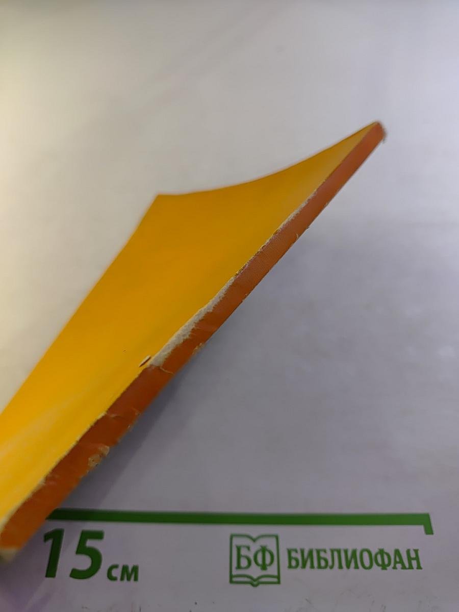 Ладонь поэта. Стихи голландских и датских