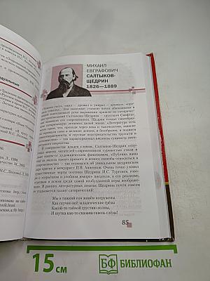 Литература, 10 класс, Часть II