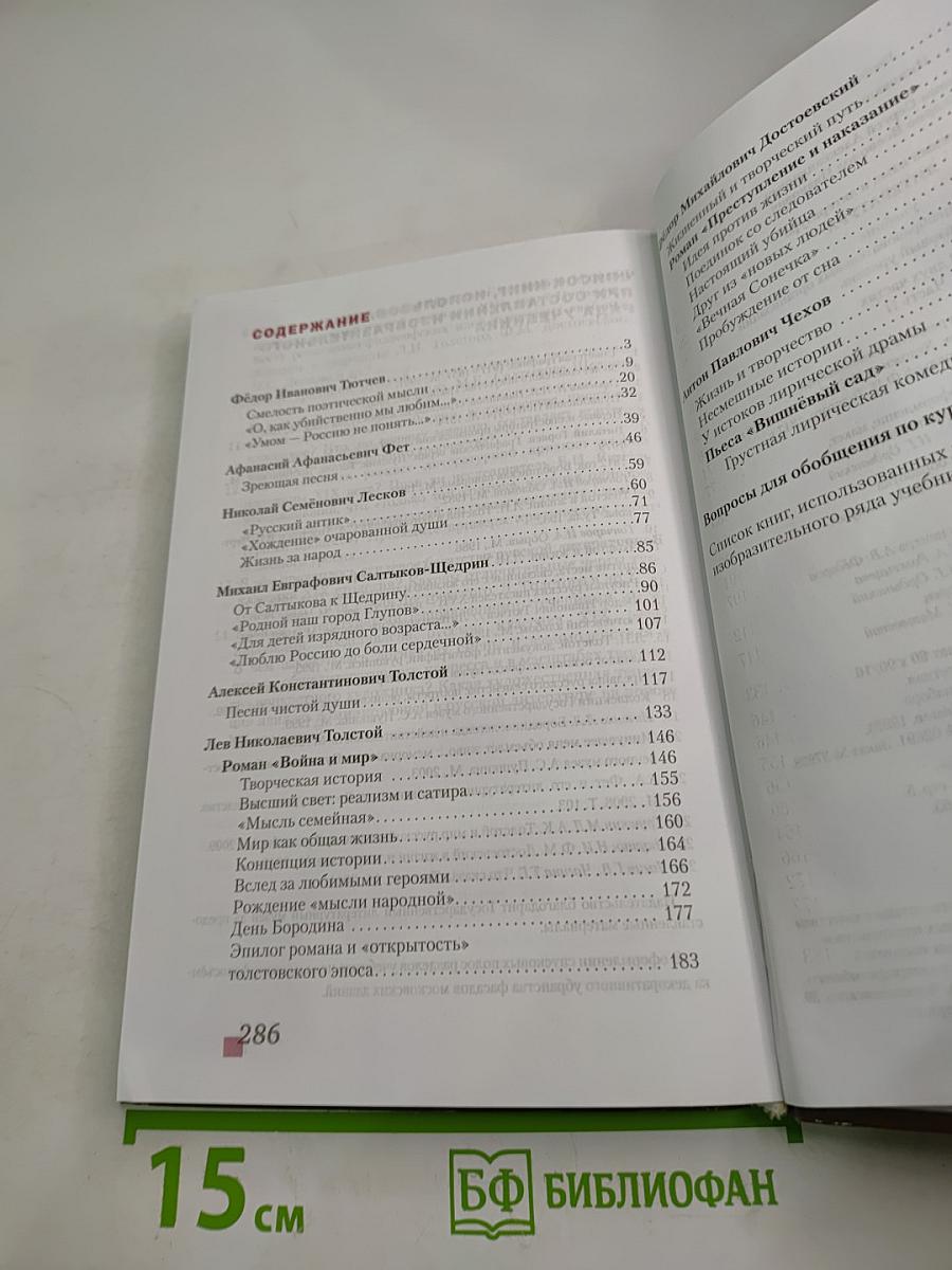 Литература, 10 класс, Часть II