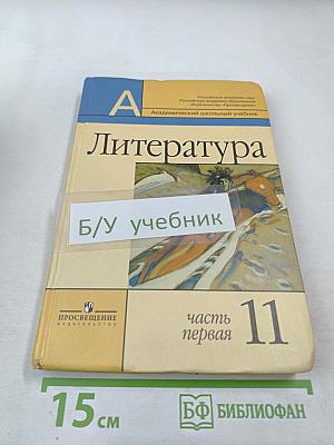 Литература 11 класс, Часть 1
