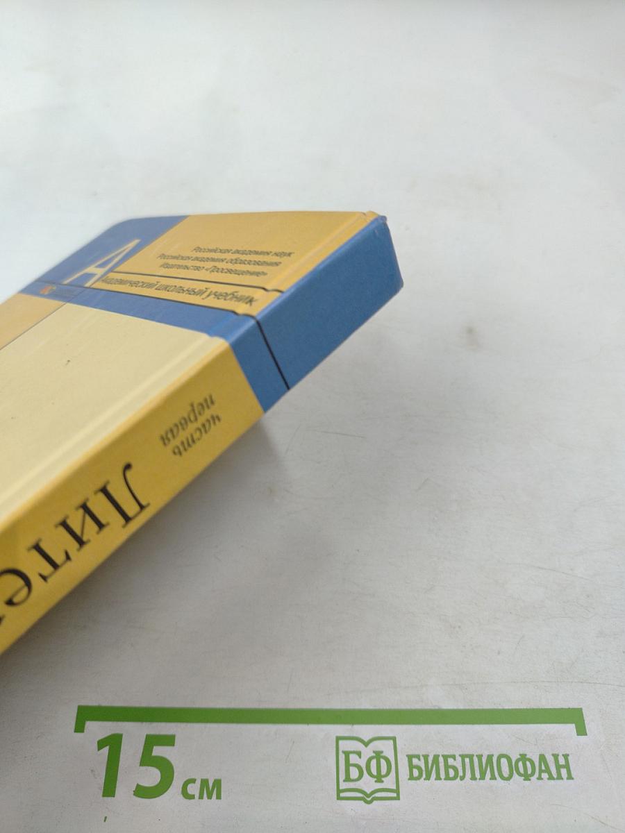 Литература 11 класс, Часть 1