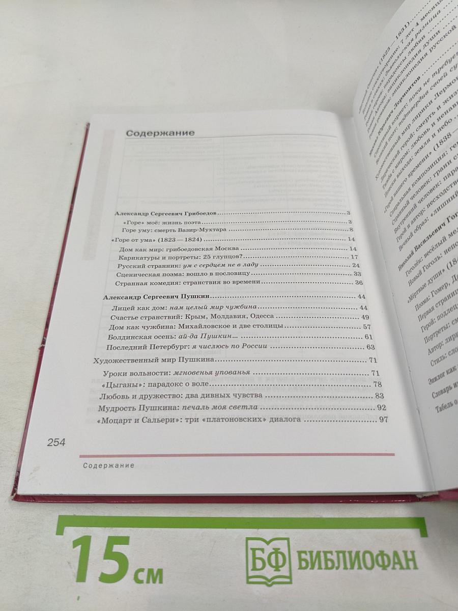 Литература. Учебник для 9 класса. Часть 2