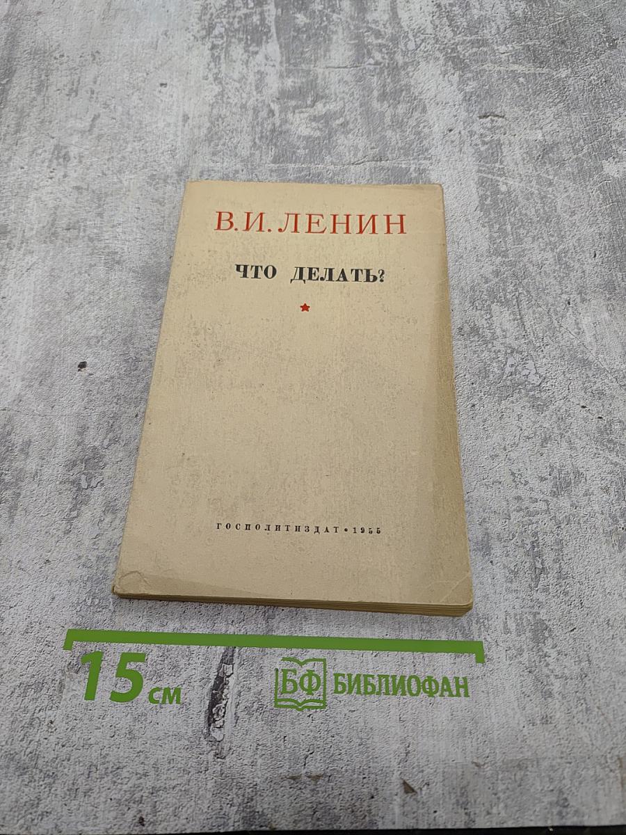 Что делать? Наболевшие вопросы нашего движения