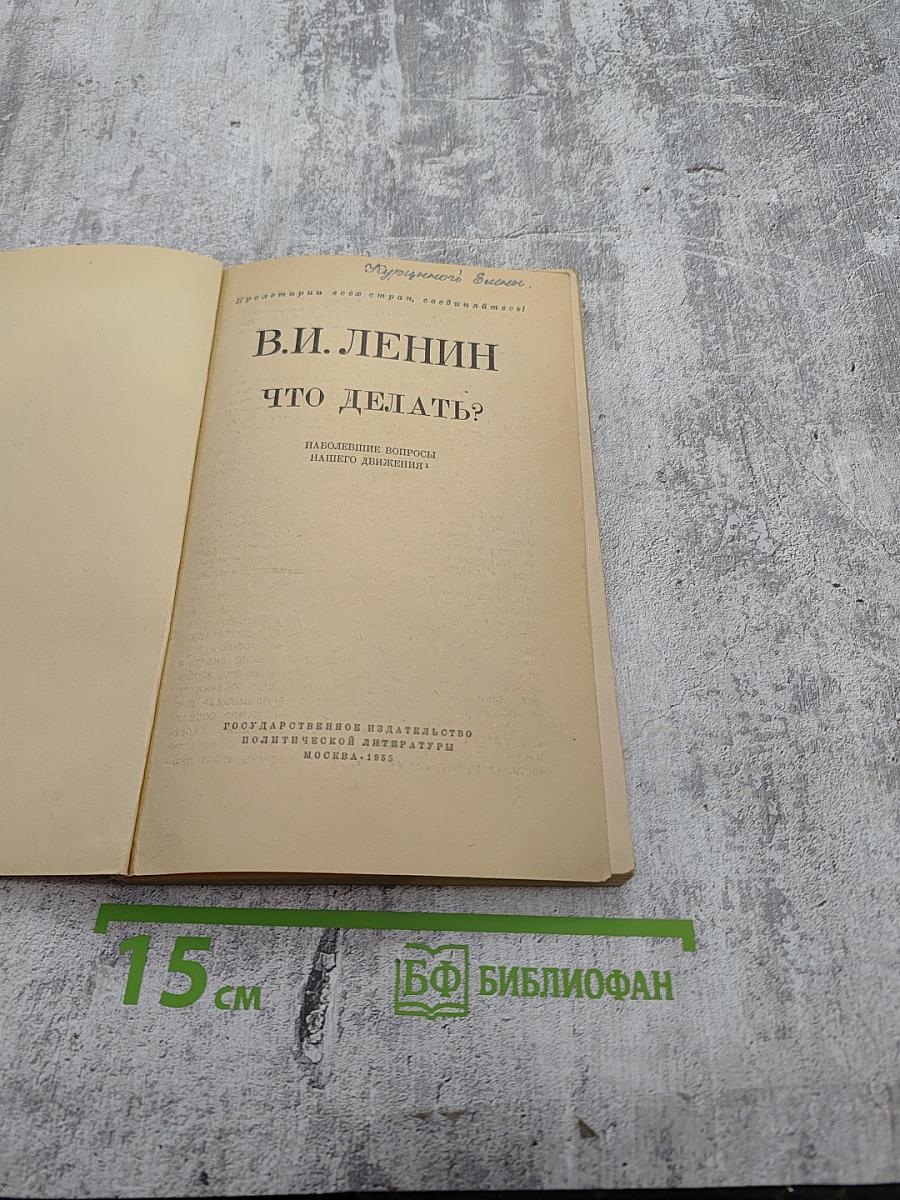 Что делать? Наболевшие вопросы нашего движения