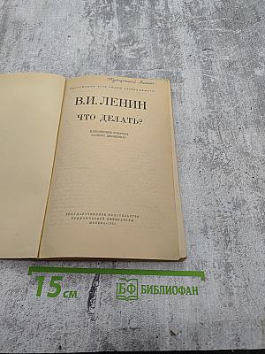Что делать? Наболевшие вопросы нашего движения