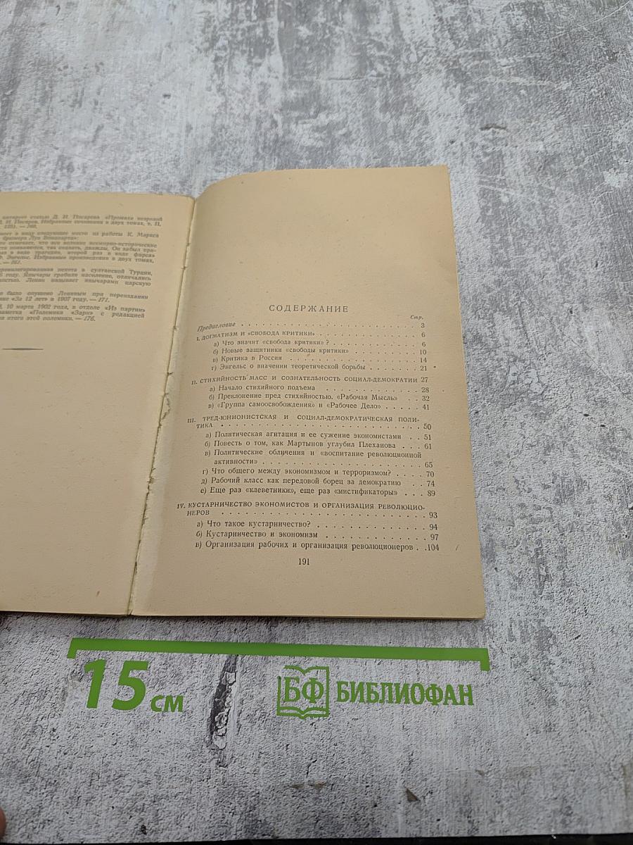Что делать? Наболевшие вопросы нашего движения