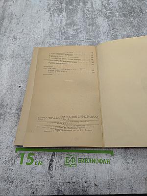 Что делать? Наболевшие вопросы нашего движения