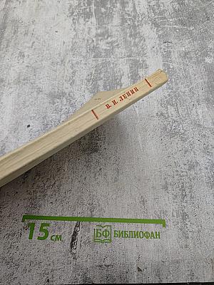 Что делать? Наболевшие вопросы нашего движения