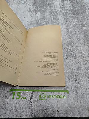 Данте и его время. Поэт и политика