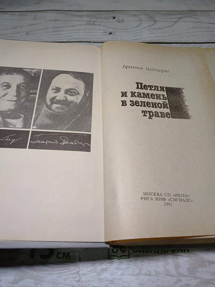 Петля и камень в зеленой траве