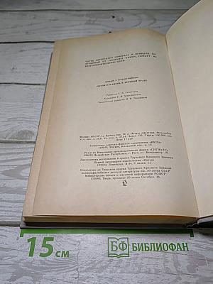 Петля и камень в зеленой траве