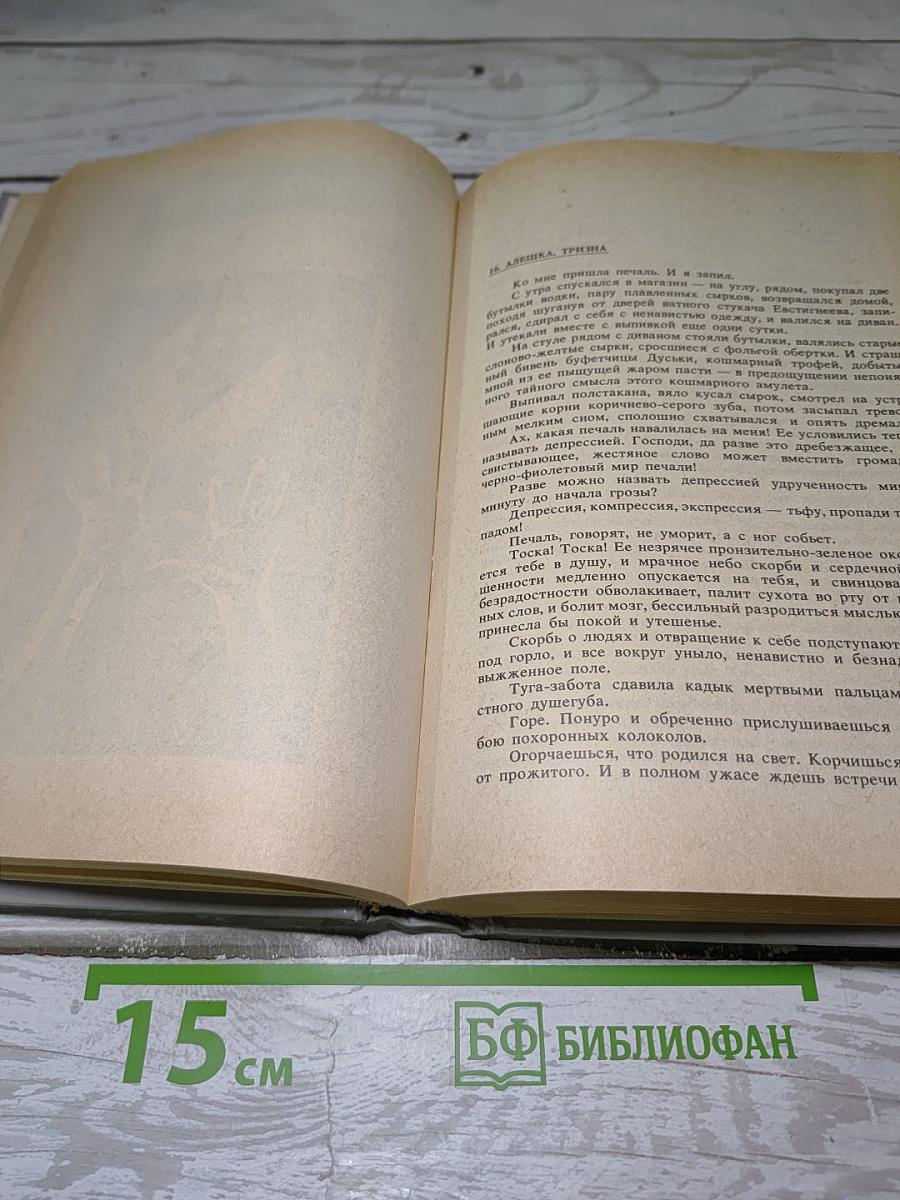 Петля и камень в зеленой траве
