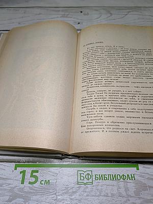 Петля и камень в зеленой траве