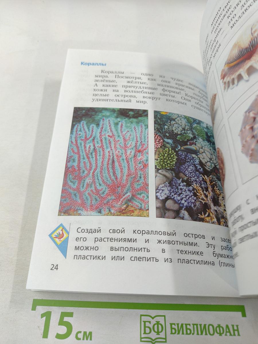 Изобразительное искусство. 3 класс