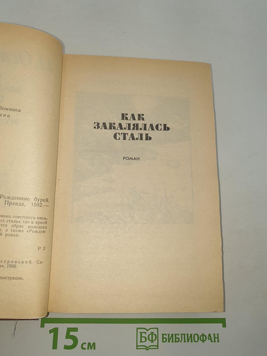 Как закалялась сталь. Рожденные бурей