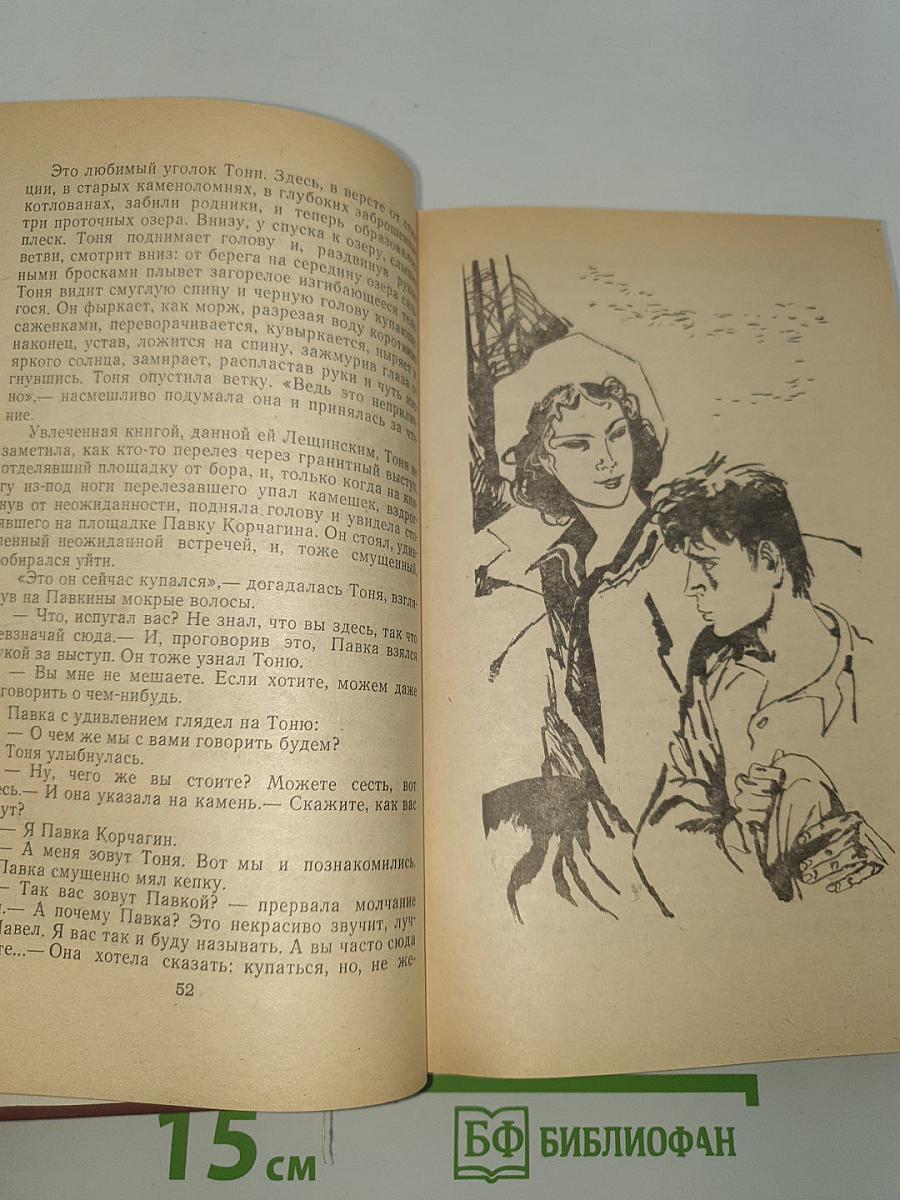 Как закалялась сталь. Рожденные бурей