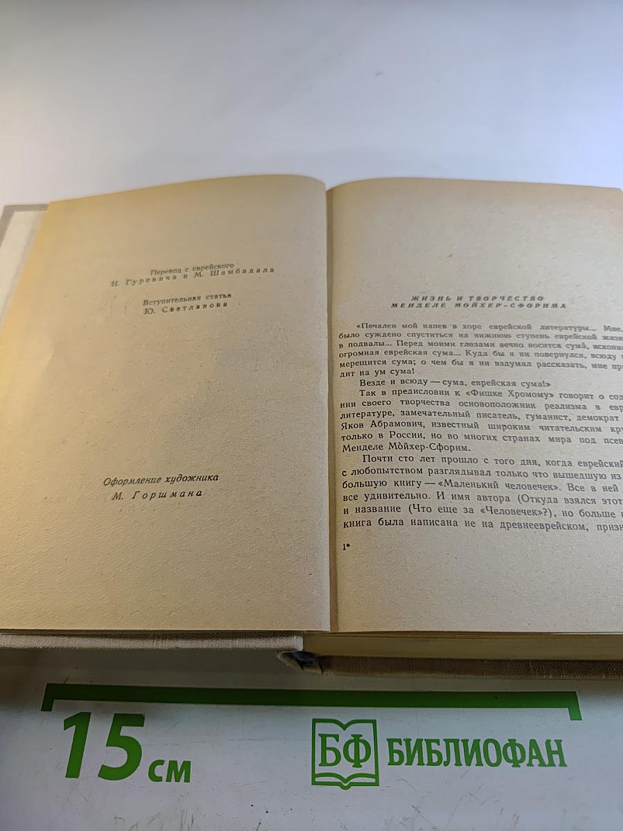 Менделе Мойхер-Сфорим. Маленький человечек. Путешествие Вениамина Третьего. Фишка Хромой