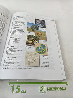 Биология. Общая биология. 10-11 классы. Базовый уровень