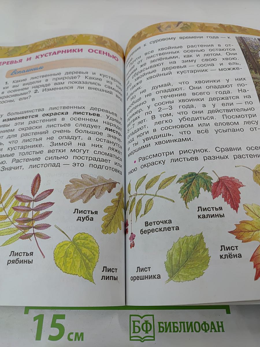 Окружающий мир 2 класс, Часть 1