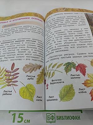 Окружающий мир 2 класс, Часть 1