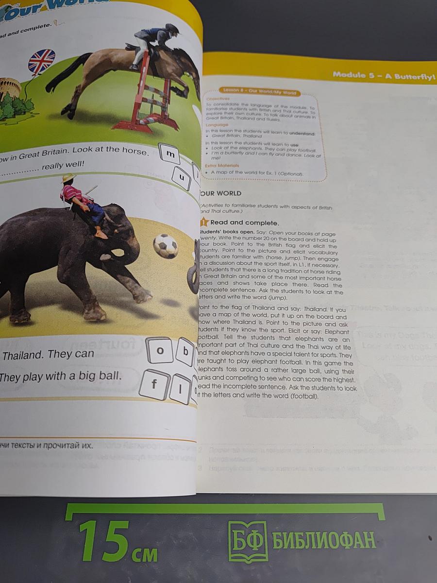 Звёздный английский. Английский язык. Книга для учителя. 2 класс. Часть 2