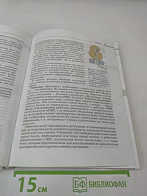 Биология. Общая биология. 10-11 классы