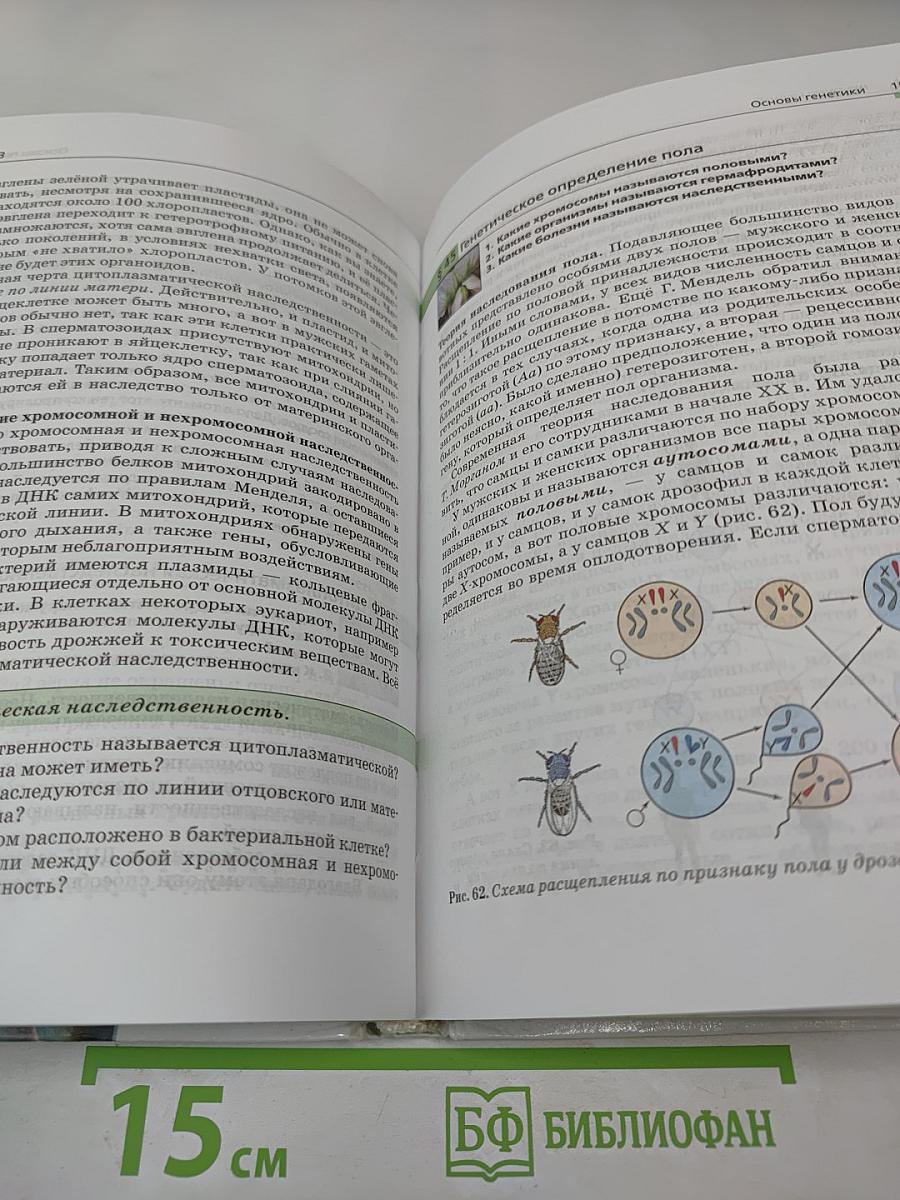 Биология. Общая биология. 10-11 классы