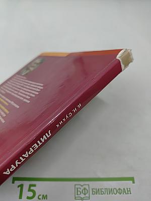 Литература. Учебник для 9 класса. Часть 1