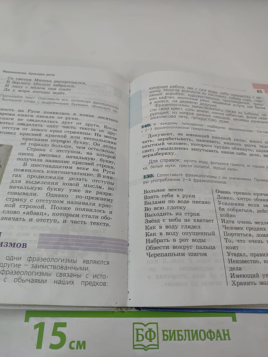 Русский язык 6 класс Часть 1