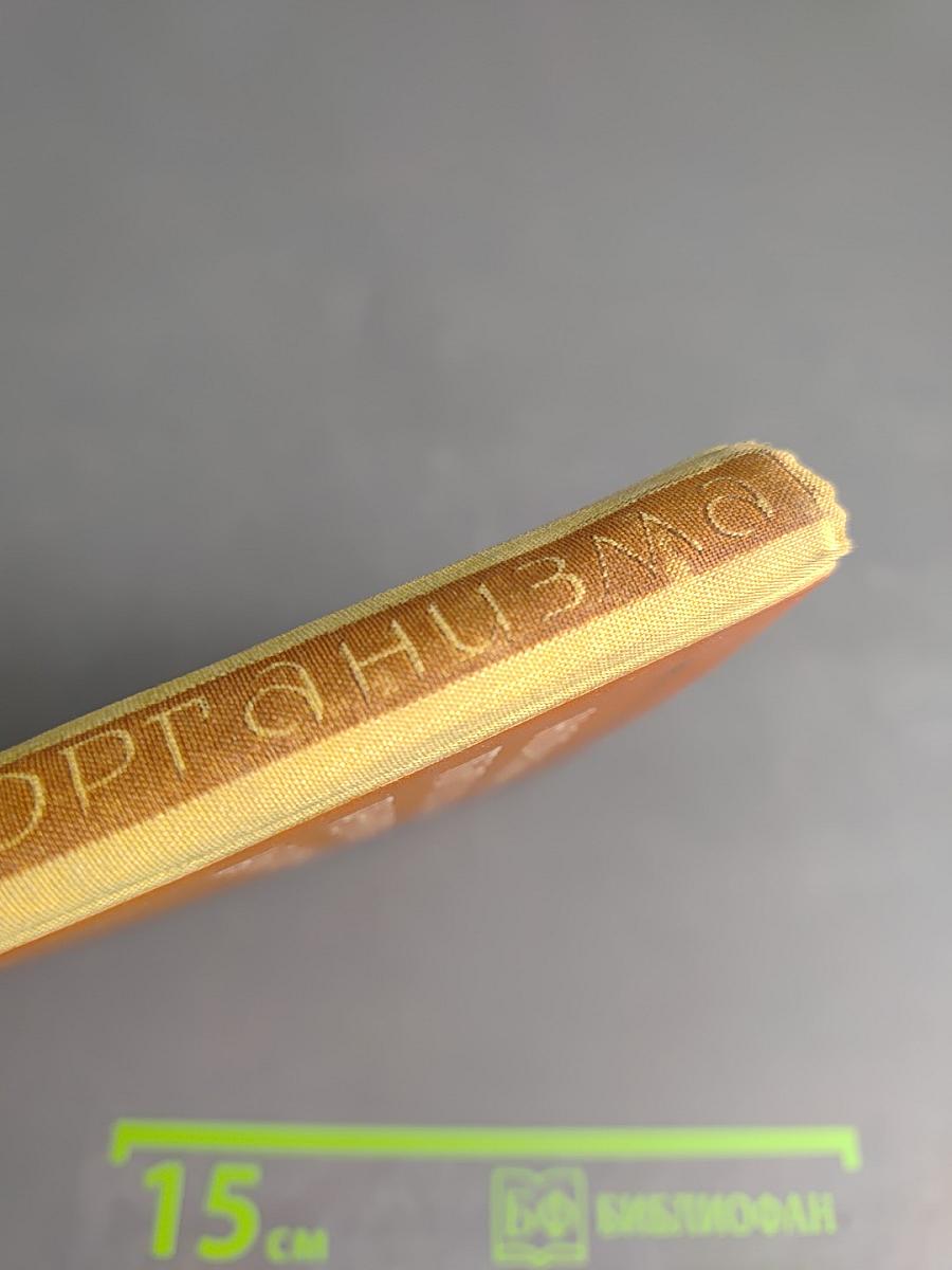 Нормална и патологична реактивност на организма